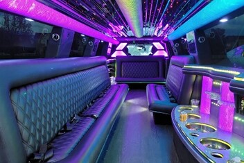 Lynn Limo Interior